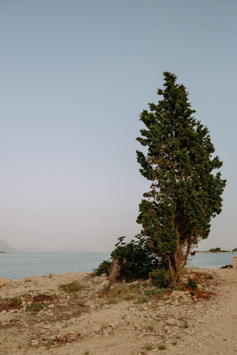 Dalmacore, otok razasut po svijetu, April 2025