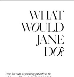 What Would Jane Do?