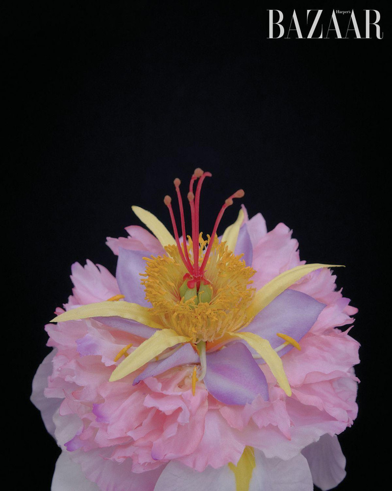 Hyun Ji Shin featured in Dear, Flowers, May 2025