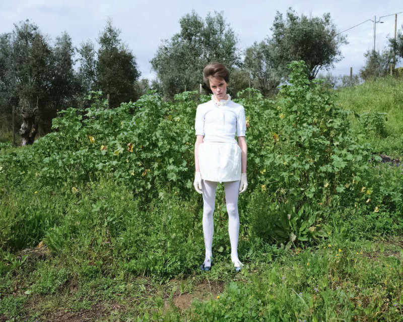 Northern Summer, May 2025