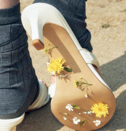 Flower Viewing