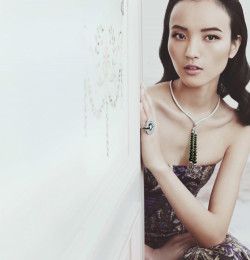 Luping Wang
