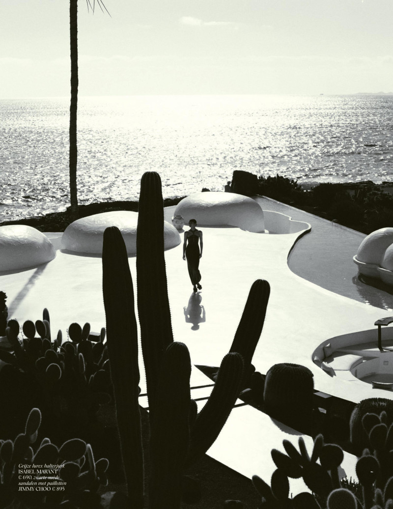 Ali Dansky featured in Planet Paradise, July 2025
