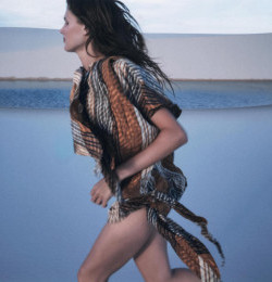 Desert Rose