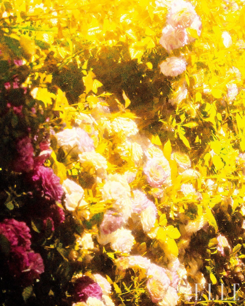 Jay Pak featured in A Mid-summer Night\'s Dream In A Summer Dress, July 2025
