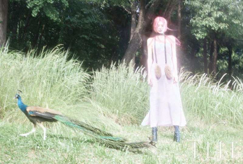 Jay Pak featured in A Mid-summer Night\'s Dream In A Summer Dress, July 2025
