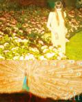 A Mid-summer Night\'s Dream In A Summer Dress