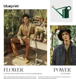Blueprint Flower Power