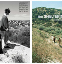 The Sheltering Sky