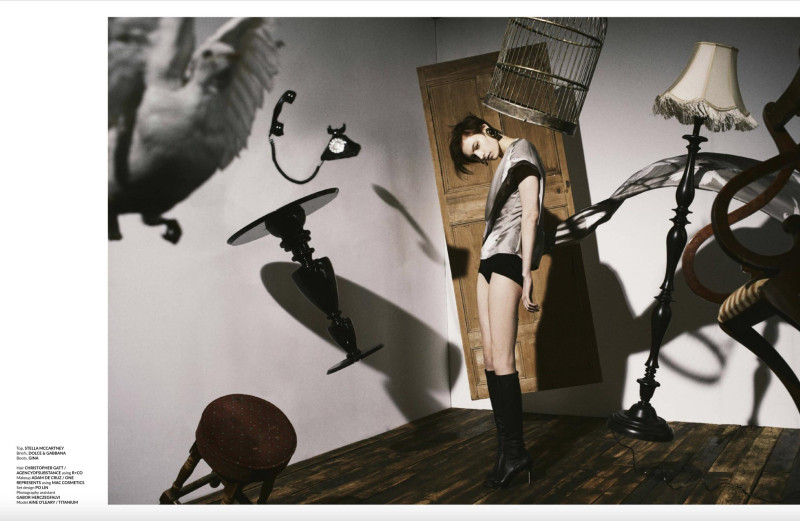 Stop Motion, February 2025