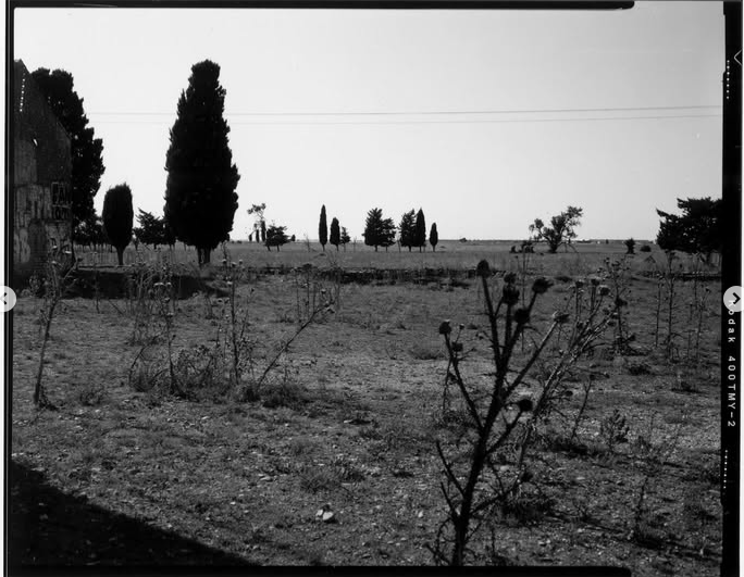 Ida Heiner featured in Light leaks, March 2025