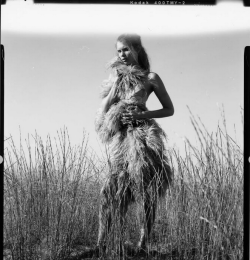 Light leaks