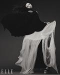 High Fashion Fluttering In The Summer Breeze