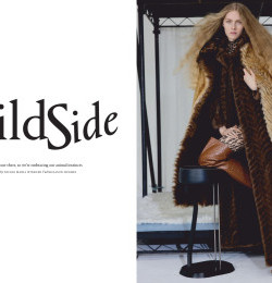 In Fashion