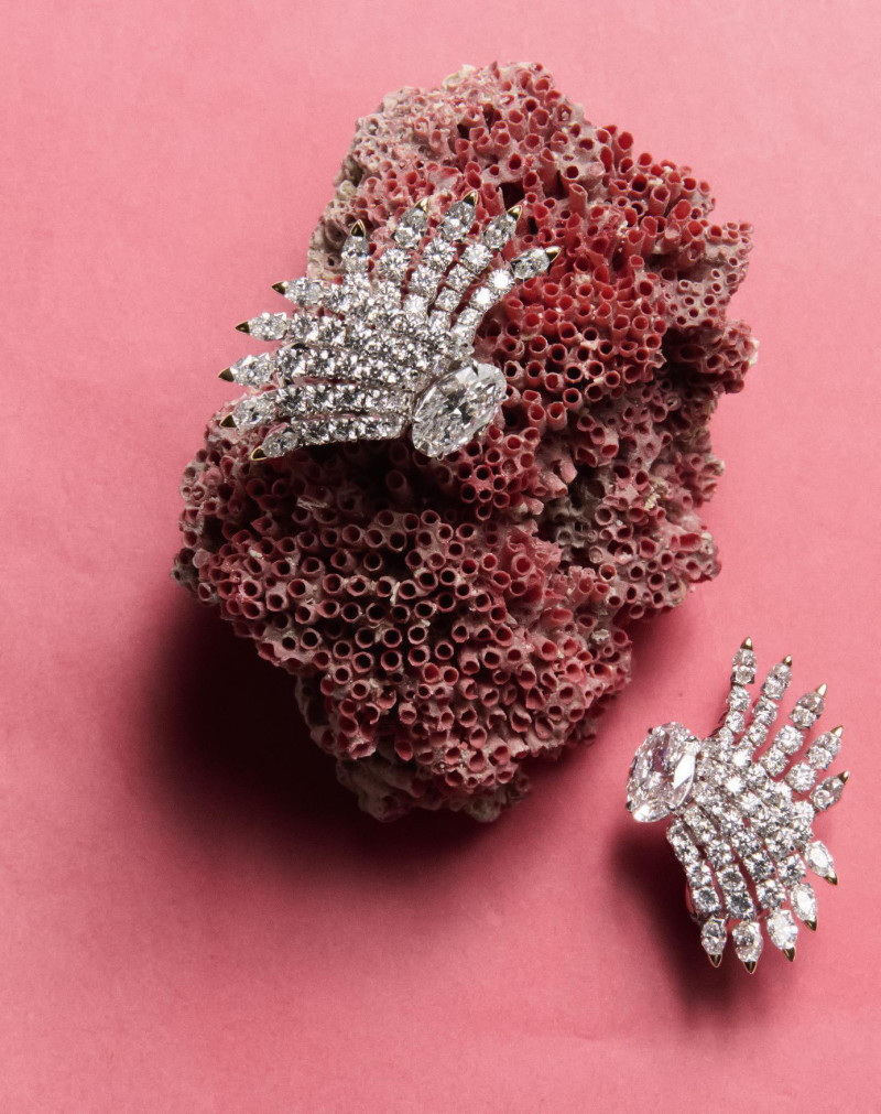 Abbiso, October 2025