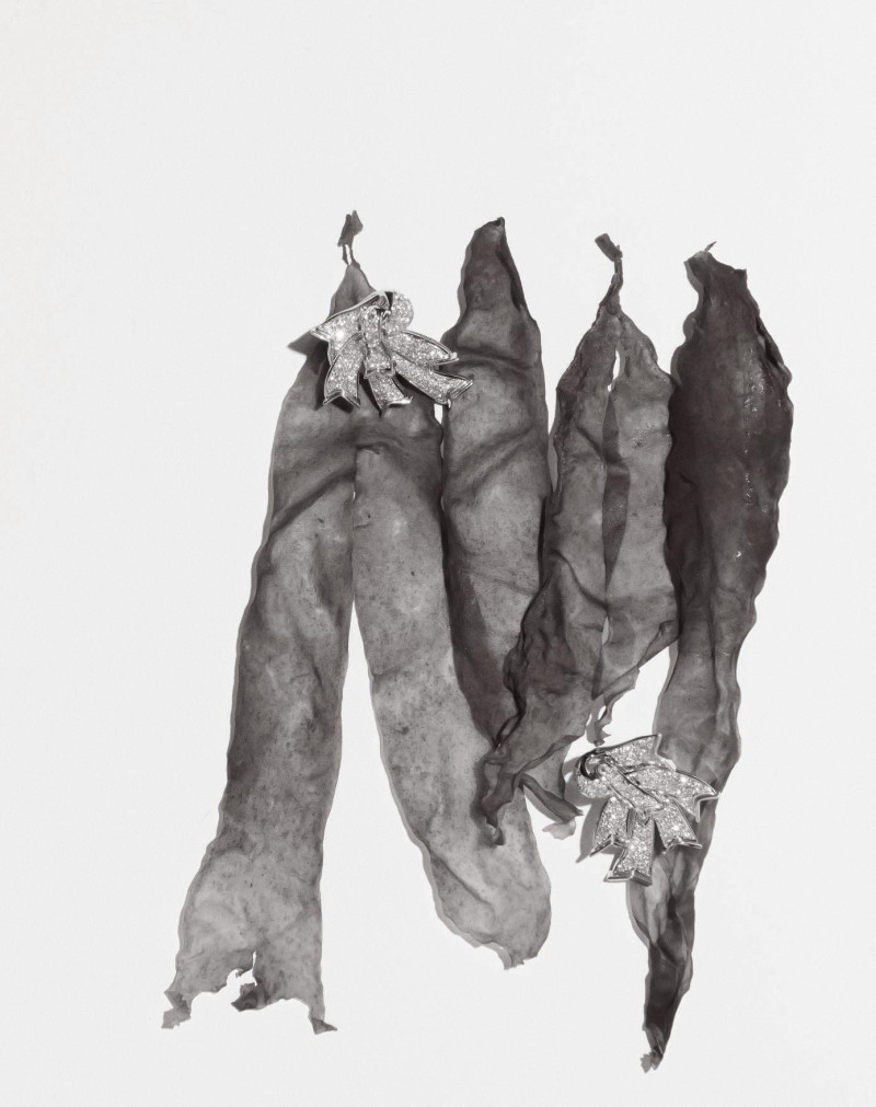 Abbiso, October 2025