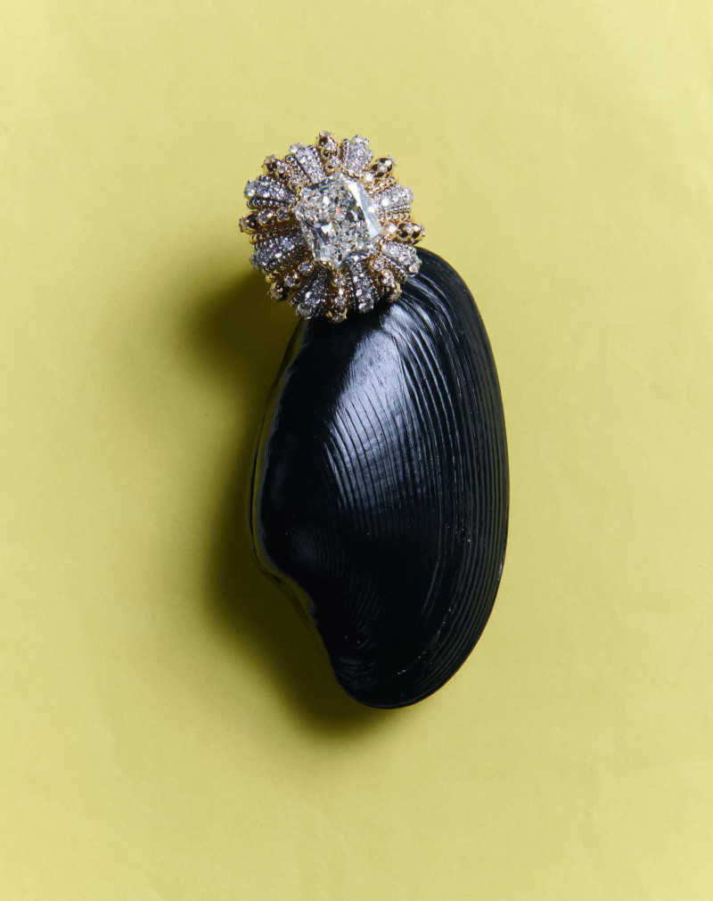 Abbiso, October 2025