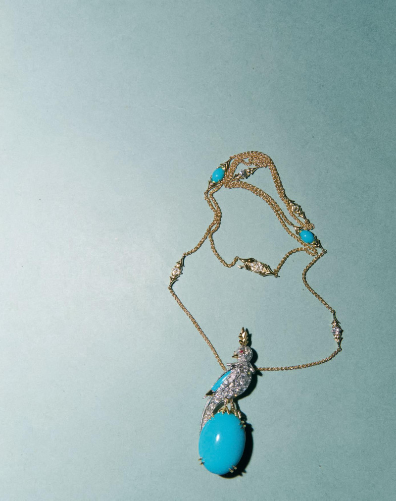 Abbiso, October 2025