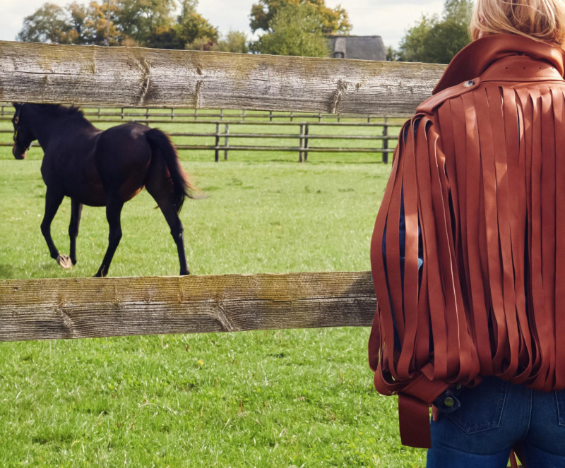 Paris-Texas, November 2025