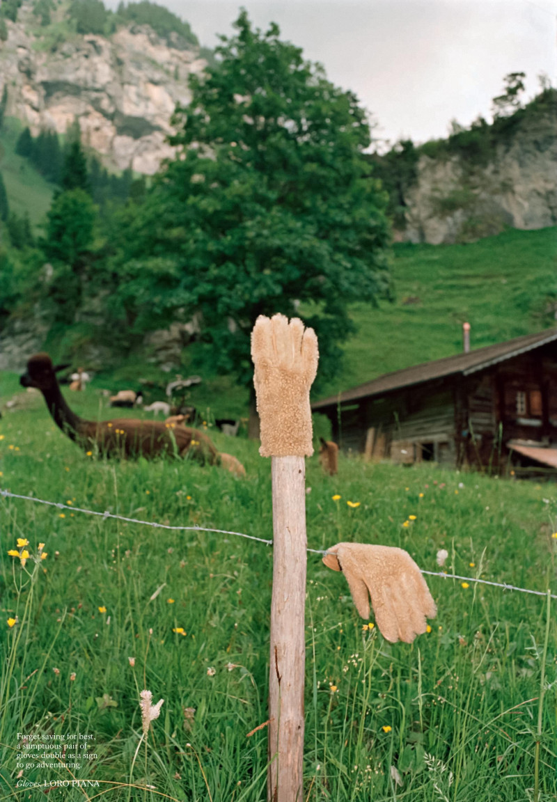 Wild Mountain Time, October 2025