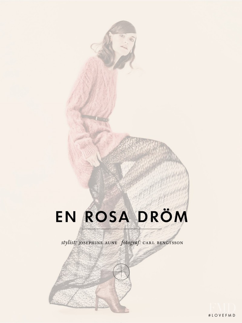 En Rosa Drom, August 2013