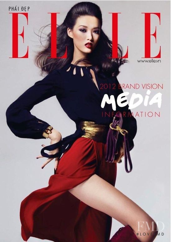 Tian Yi featured on the Elle Vietnam cover from February 2012