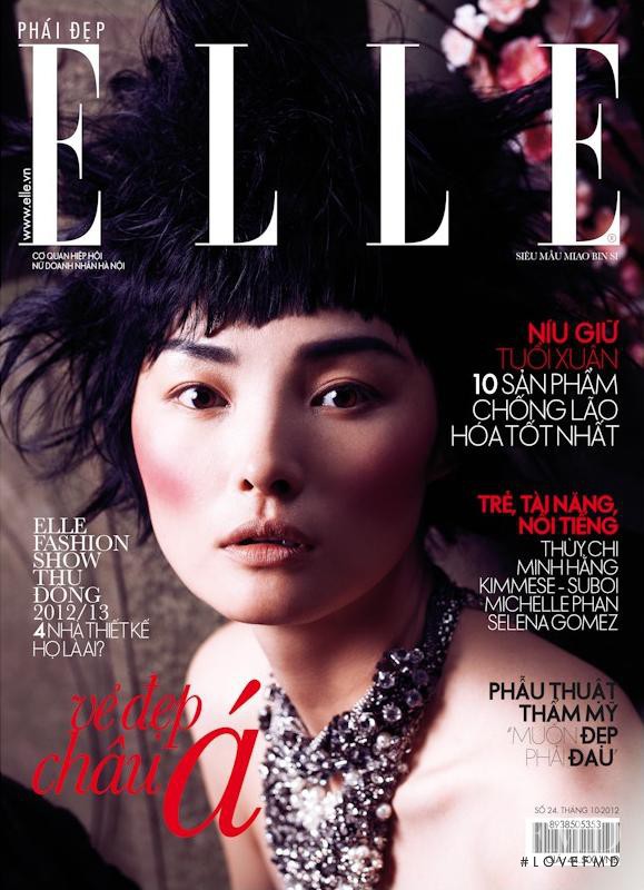 Miao Bin Si featured on the Elle Vietnam cover from October 2012
