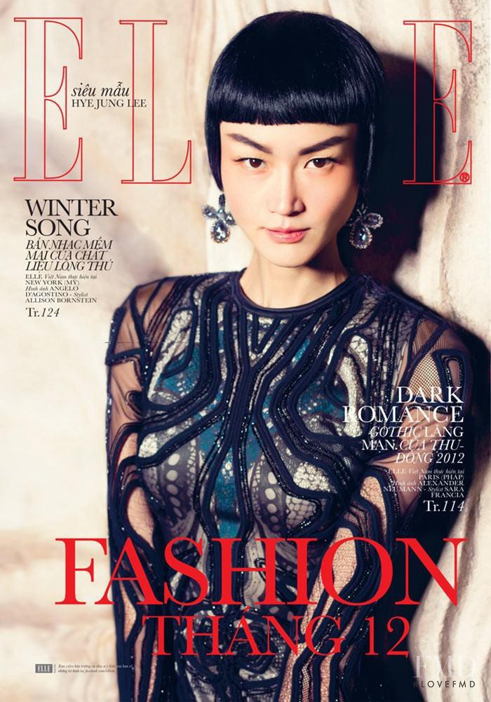 Hye Jung Lee featured on the Elle Vietnam cover from January 2013