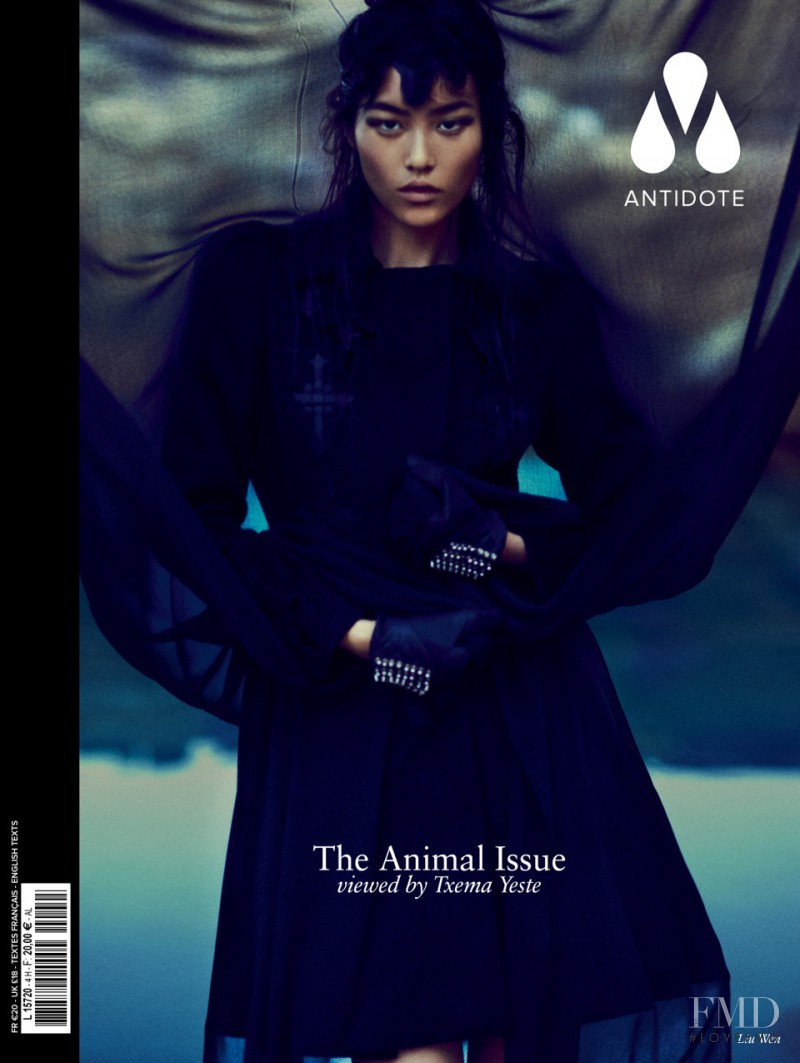 Liu Wen featured on the Antidote cover from October 2012