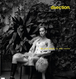 Dsection