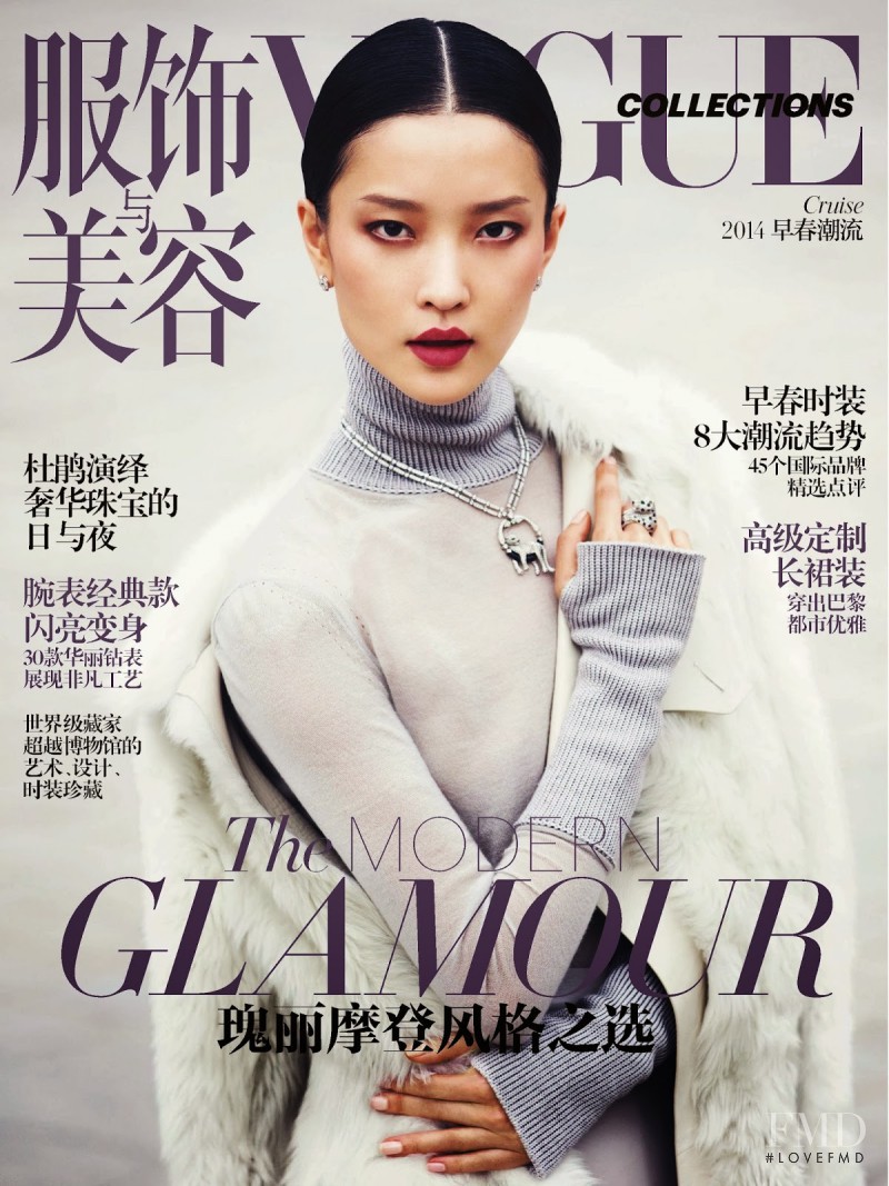 Du Juan featured on the Vogue Collections China cover from November 2013
