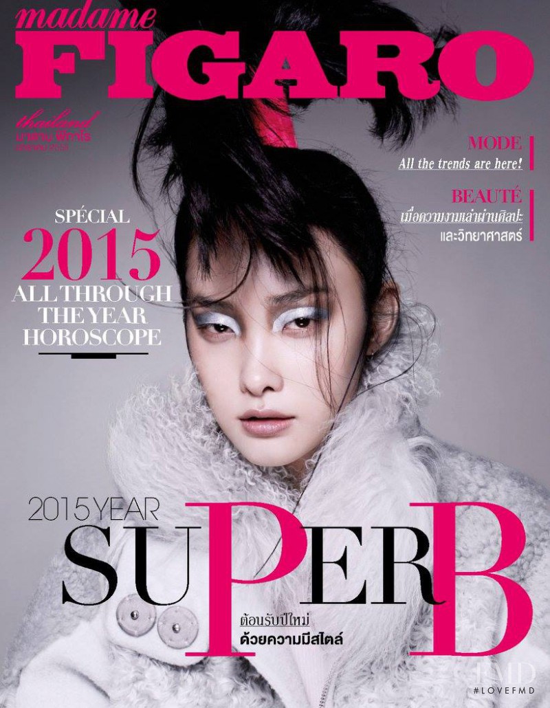 Sung Hee Kim featured on the Madame Figaro Thailand cover from January 2015