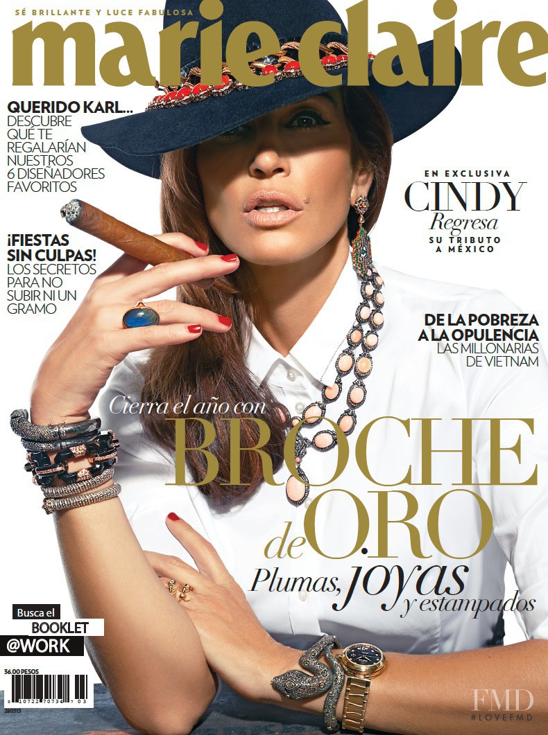 Cindy Crawford featured on the Marie Claire Mexico cover from December 2013
