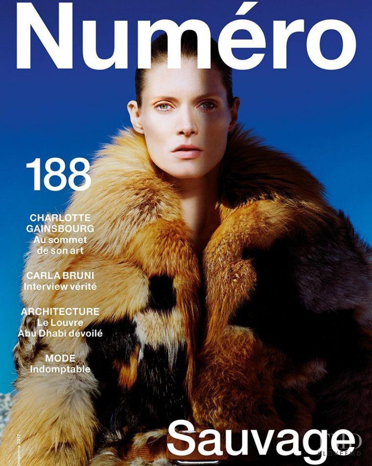 Malgosia Bela featured on the Numéro France cover from November 2017