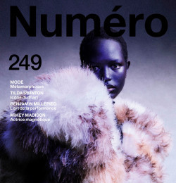 November 2024