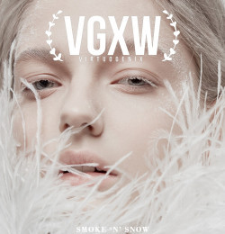 VGXW - Virtuogenix