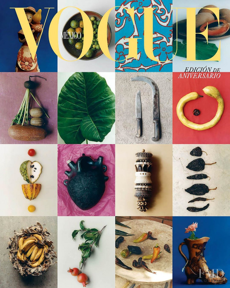  featured on the Vogue Mexico cover from October 2019