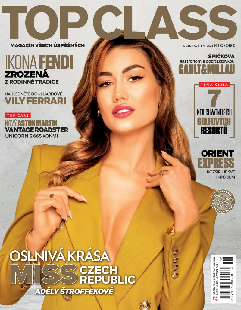 article preview