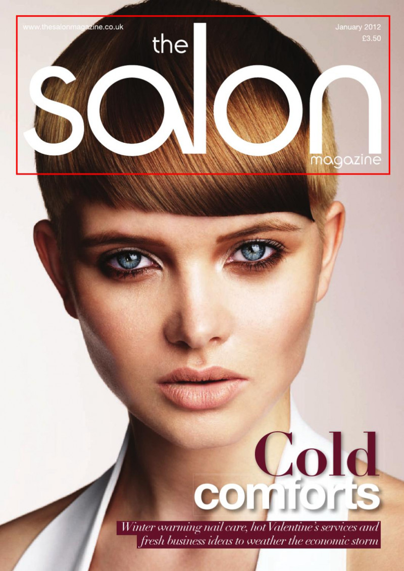  featured on the The Salon Magazine cover from January 2012