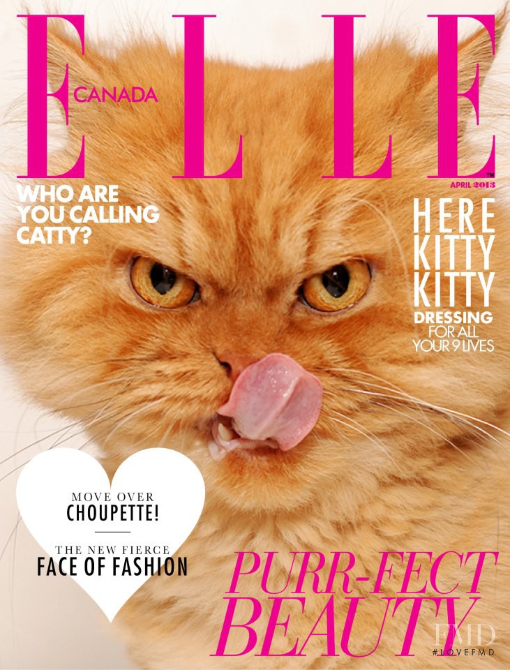  featured on the Elle Canada cover from April 2013