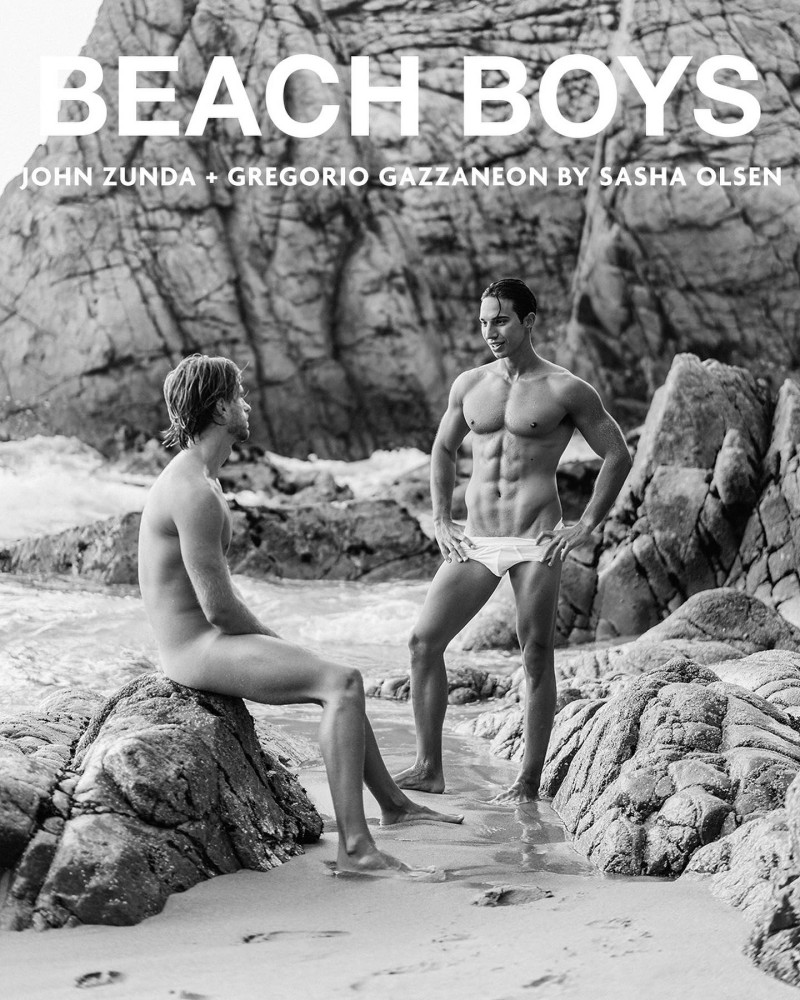 John Zunda, Gregorio Gazzaneon featured on the Beach Boys cover from March 2024