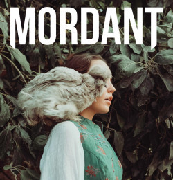 Mordant