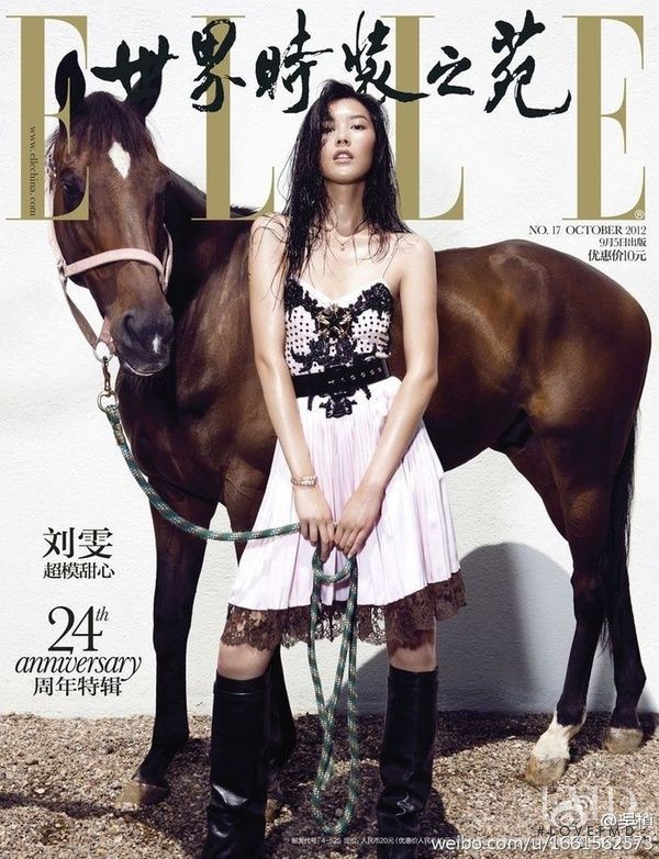 Liu Wen featured on the Elle China cover from October 2012