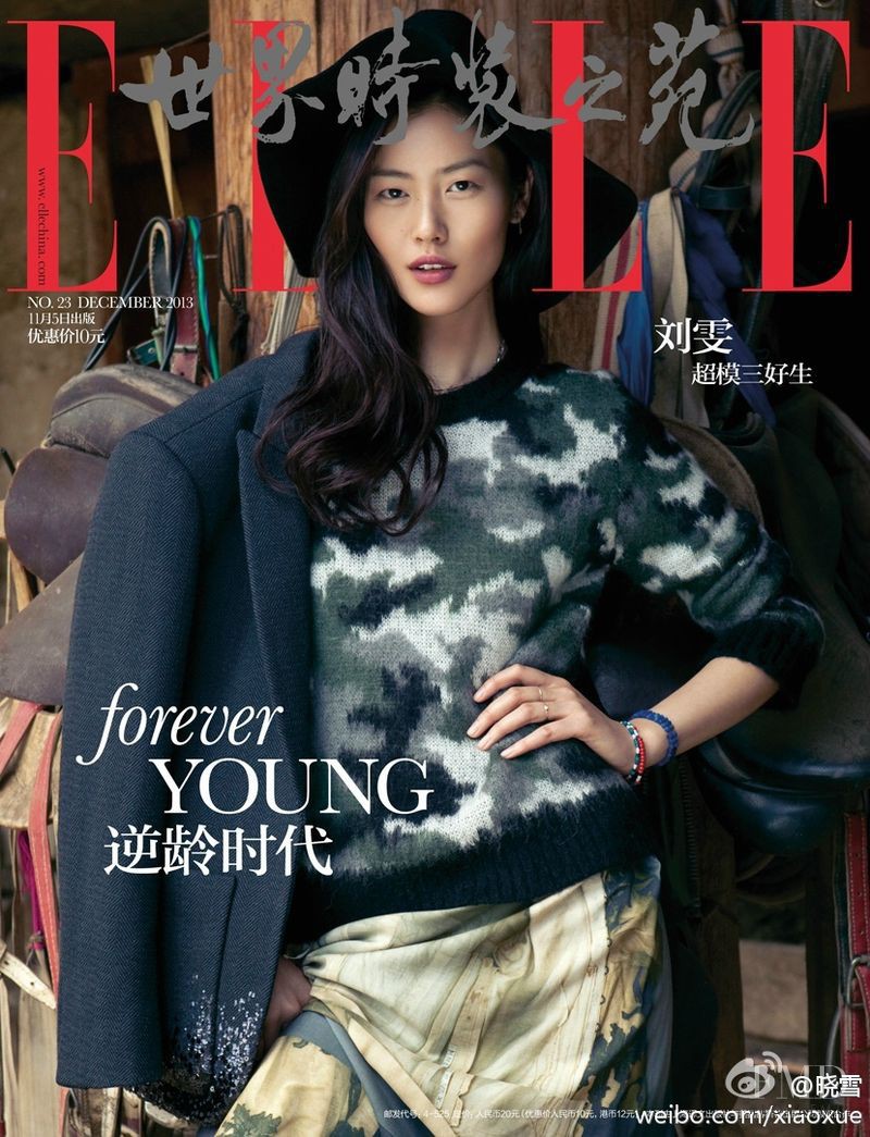 Liu Wen featured on the Elle China cover from December 2013