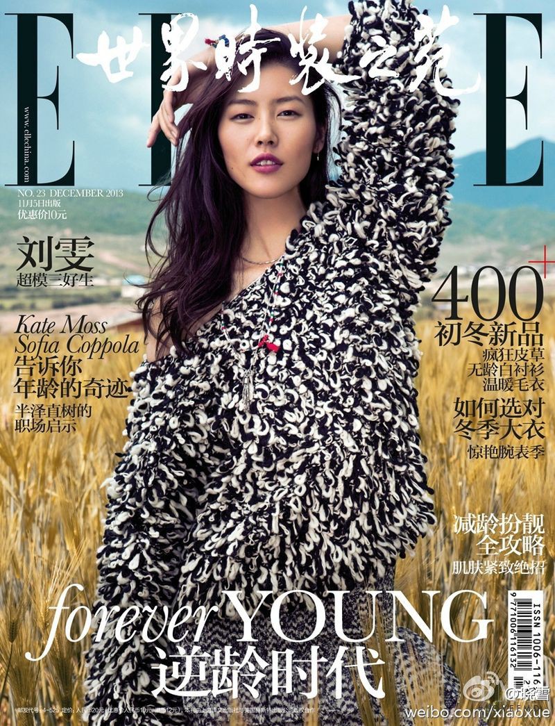 Liu Wen featured on the Elle China cover from December 2013