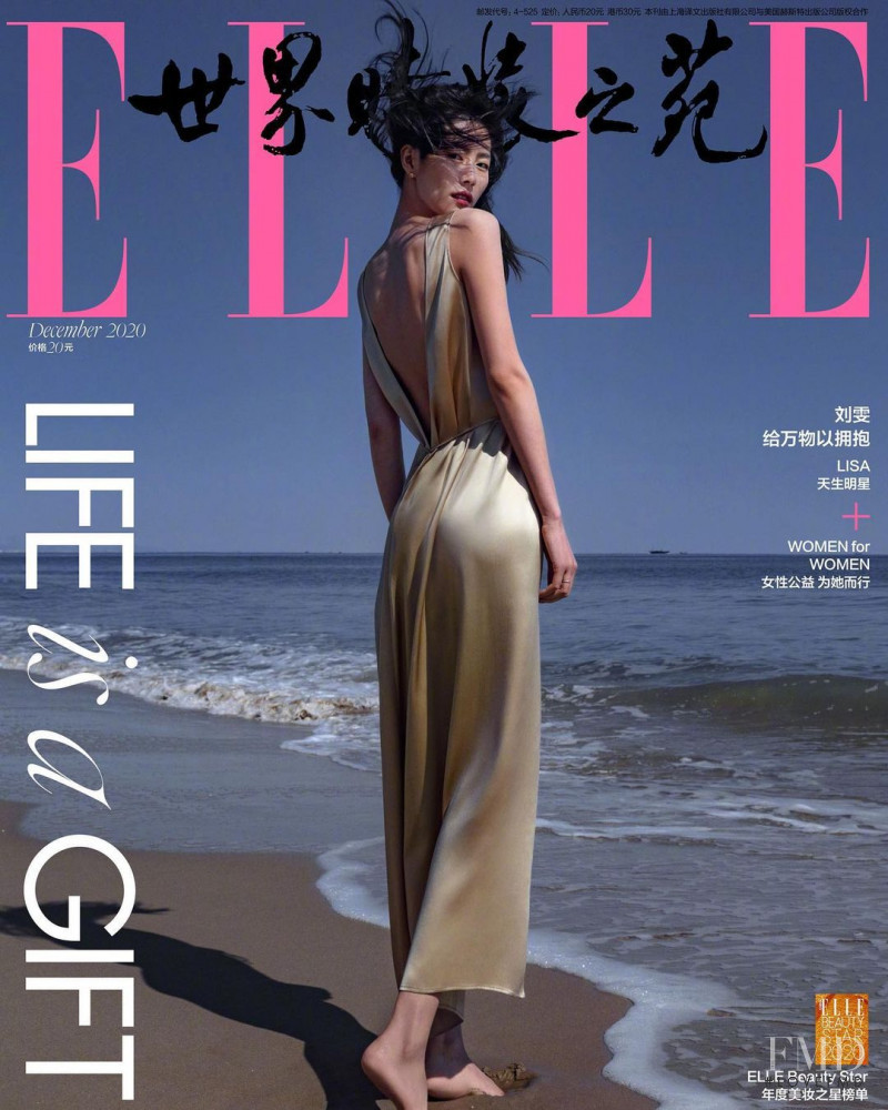 Liu Wen featured on the Elle China cover from December 2020