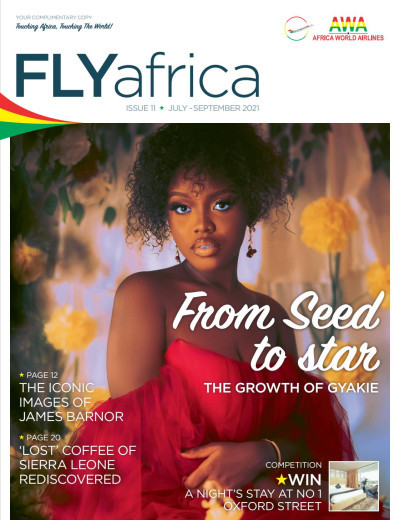 FLYafrica