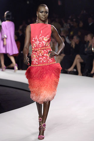 Photo of model Alek Wek - ID 135675