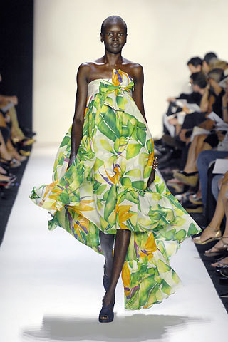 Photo of model Alek Wek - ID 135684