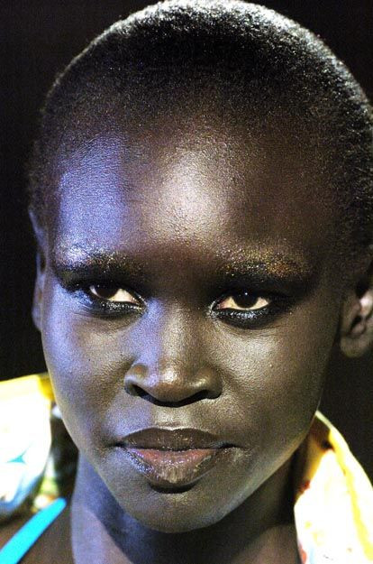 Photo of model Alek Wek - ID 16094